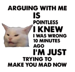 SoNormal Designs: Arguing With Me is Pointless